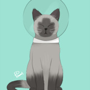 Torkay's Avatar