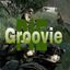 GrooviePie