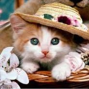 Rank Booster ! Leave Game !