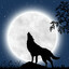 moon123's avatar