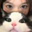 韭菜猪肉饺子