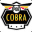 cobra1407