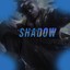 NT Shadow