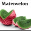 Materwelon