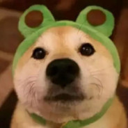 你怎敢与我拉扯