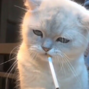 我想就这样牵着你的手