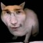 Котохуй