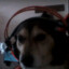 Biggie Vanko