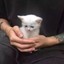 手好冷有姐姐吗