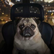 Admiral mops