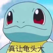 头大的杰尼龟