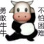 头给我