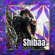 shibaa