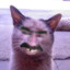 ТВОЙ КОТИК