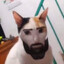 L&#039;homme génial