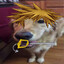 Steam avatar