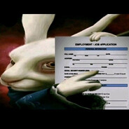job application