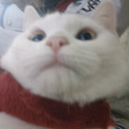 TUANNNNNNNNNNNNNNNNNNNNNNNNNNNNN