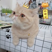 风雨必咕卢本龙