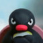 pingu