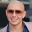 PitBull fan