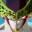 Perfect Cell