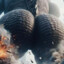 ✪  Asstronomical Backshot