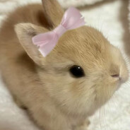 BadBunny