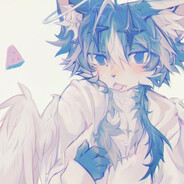 neko_sharky