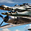 Bombordilo crocodilo