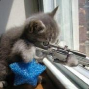 SniperKitten