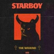 AAA纯种奶龙批发杨师傅