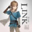 Link