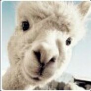 比奇堡丨蟹老板