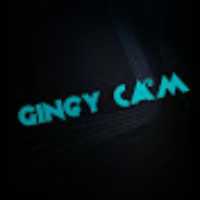 GingyCam