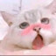 Sheru
