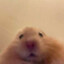cerü