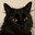 toromi's Avatar