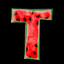 t33canbre