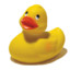 rubber ducky