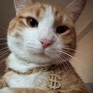 saqui - steam id 76561199809335022