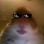 Ira Roka's avatar