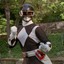 Black Ranger