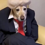 AA-建材批发老总—陆哥