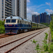 波音环保工程种树中心