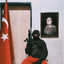 Ogi
