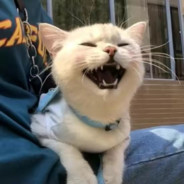 B点全是人我不去