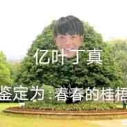 理塘の猛虎纯真丁一郎