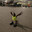Freg