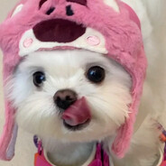 smil